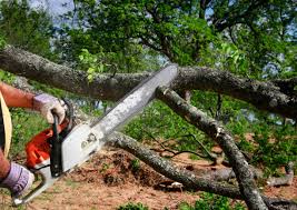 Best Lawn Mowing  in Brookhaven, GA